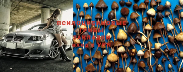 тгк Михайлов