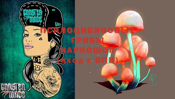мет Медвежьегорск